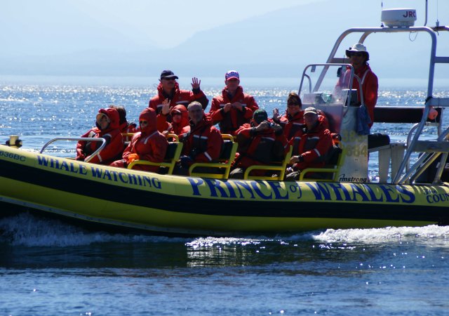 Whale Watching